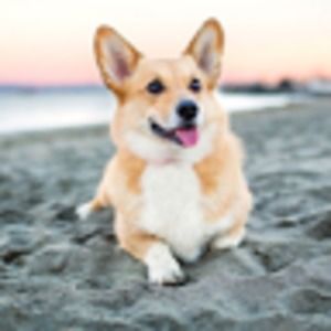 Meet your Posher, Candy